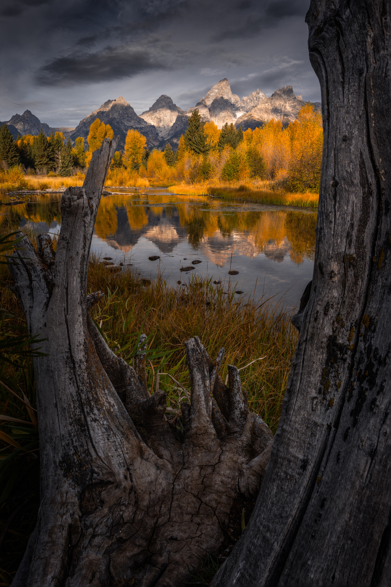 Grand Teton photo