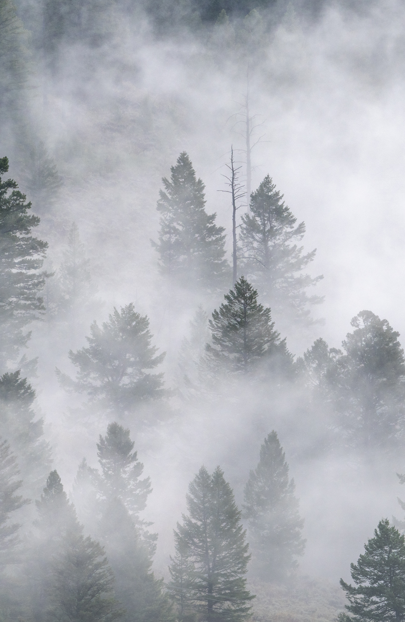 Grand Teton photo