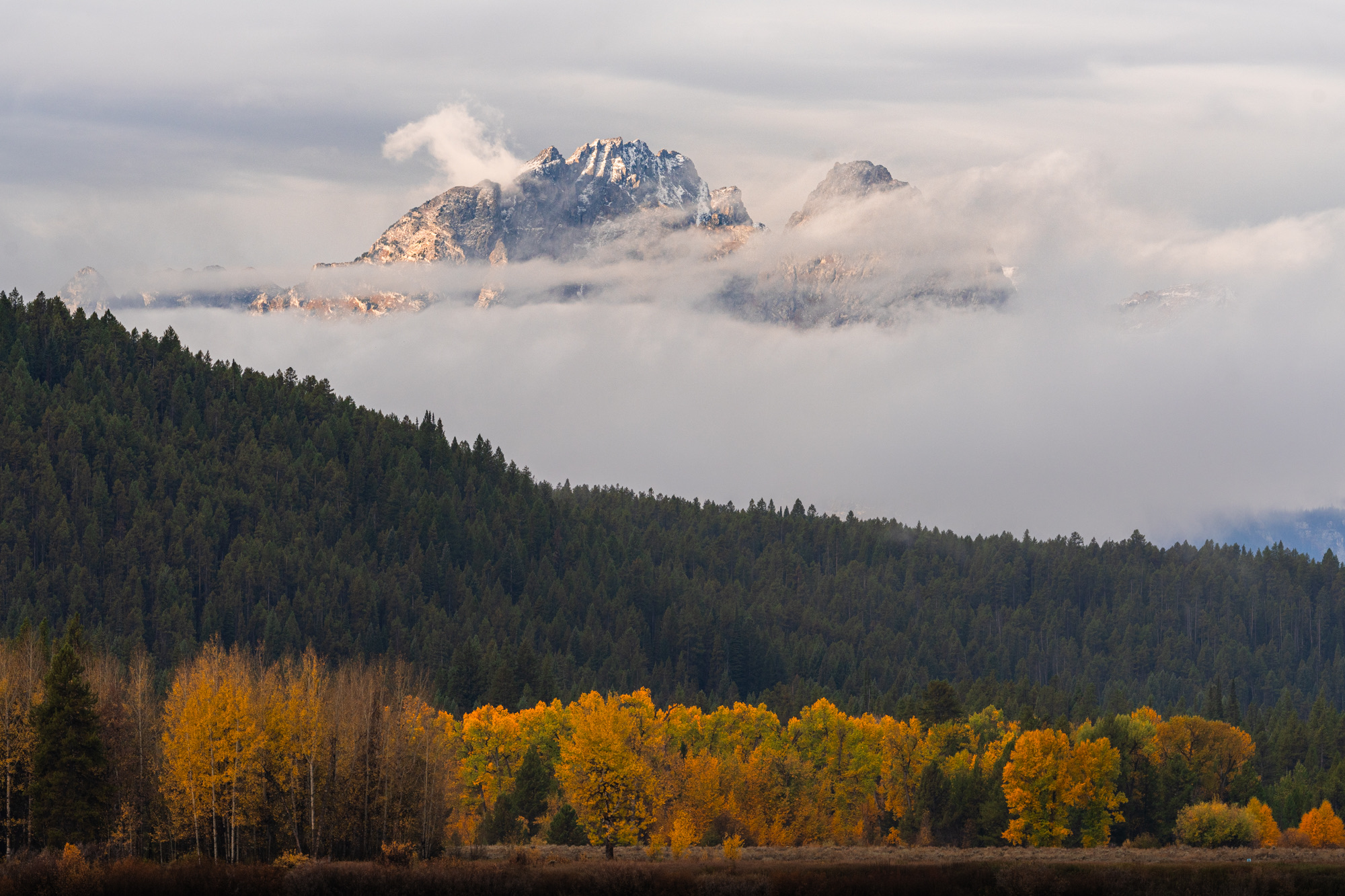 Grand Teton photo