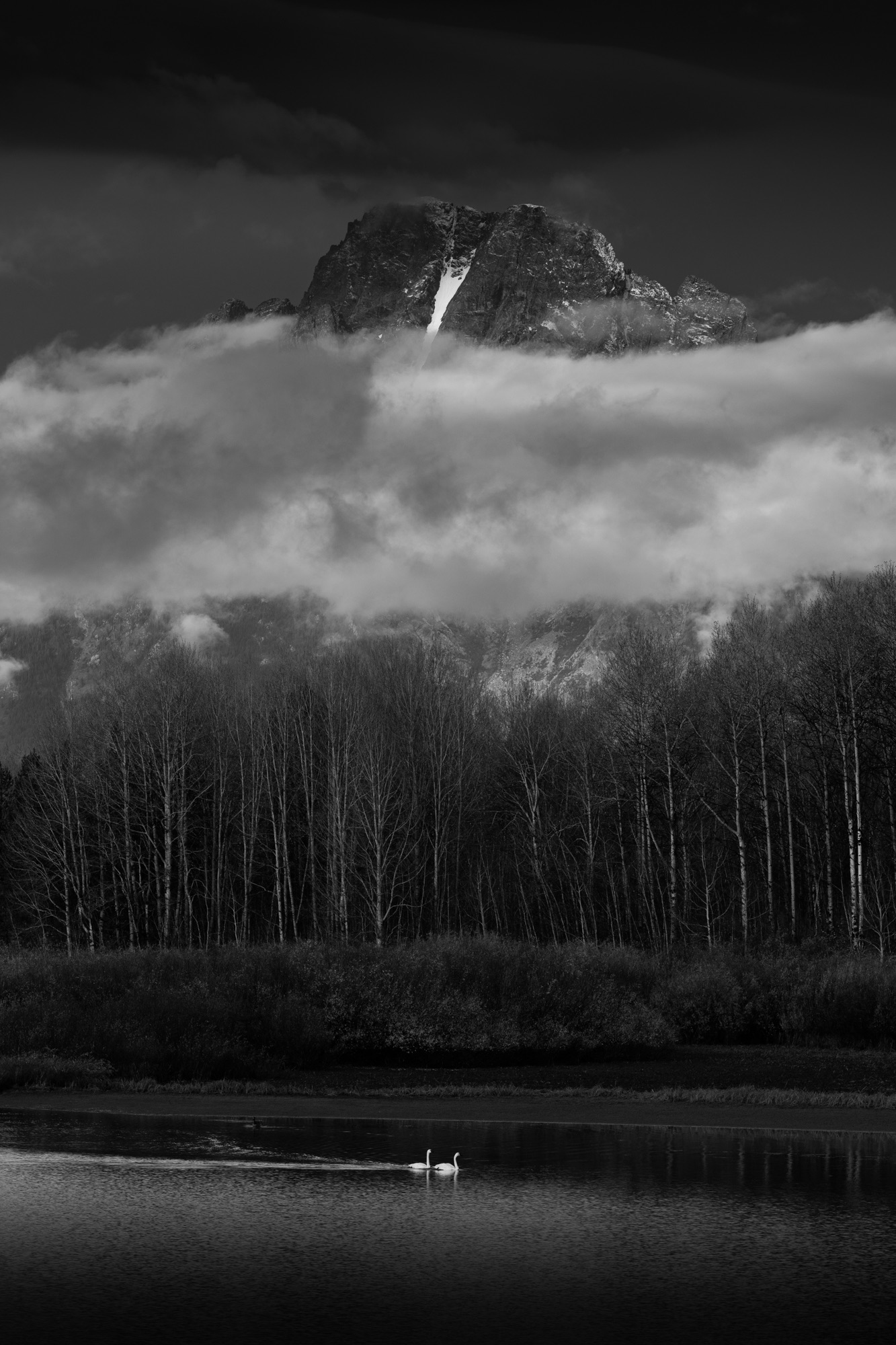 Grand Teton photo