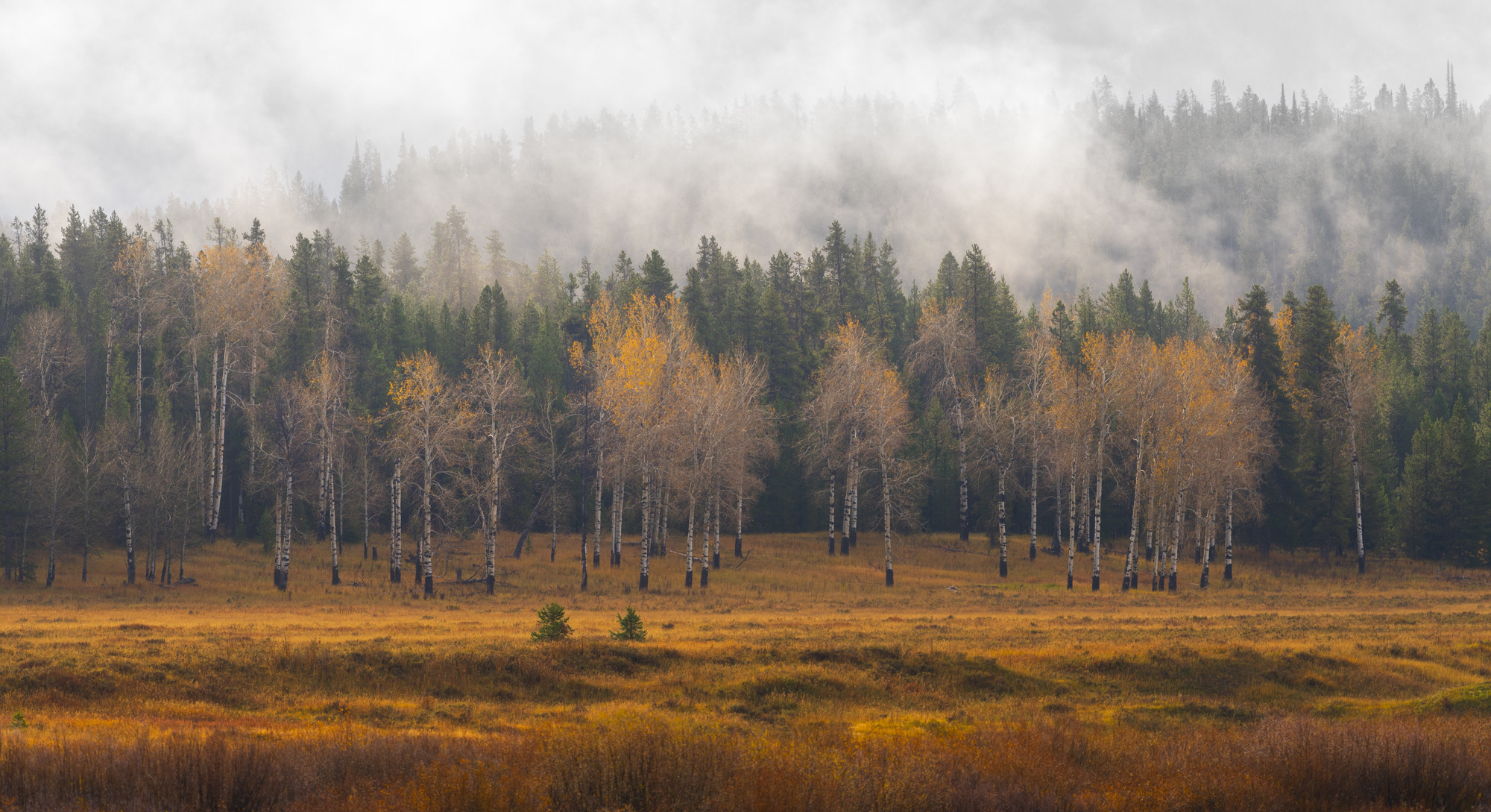 Grand Teton photo