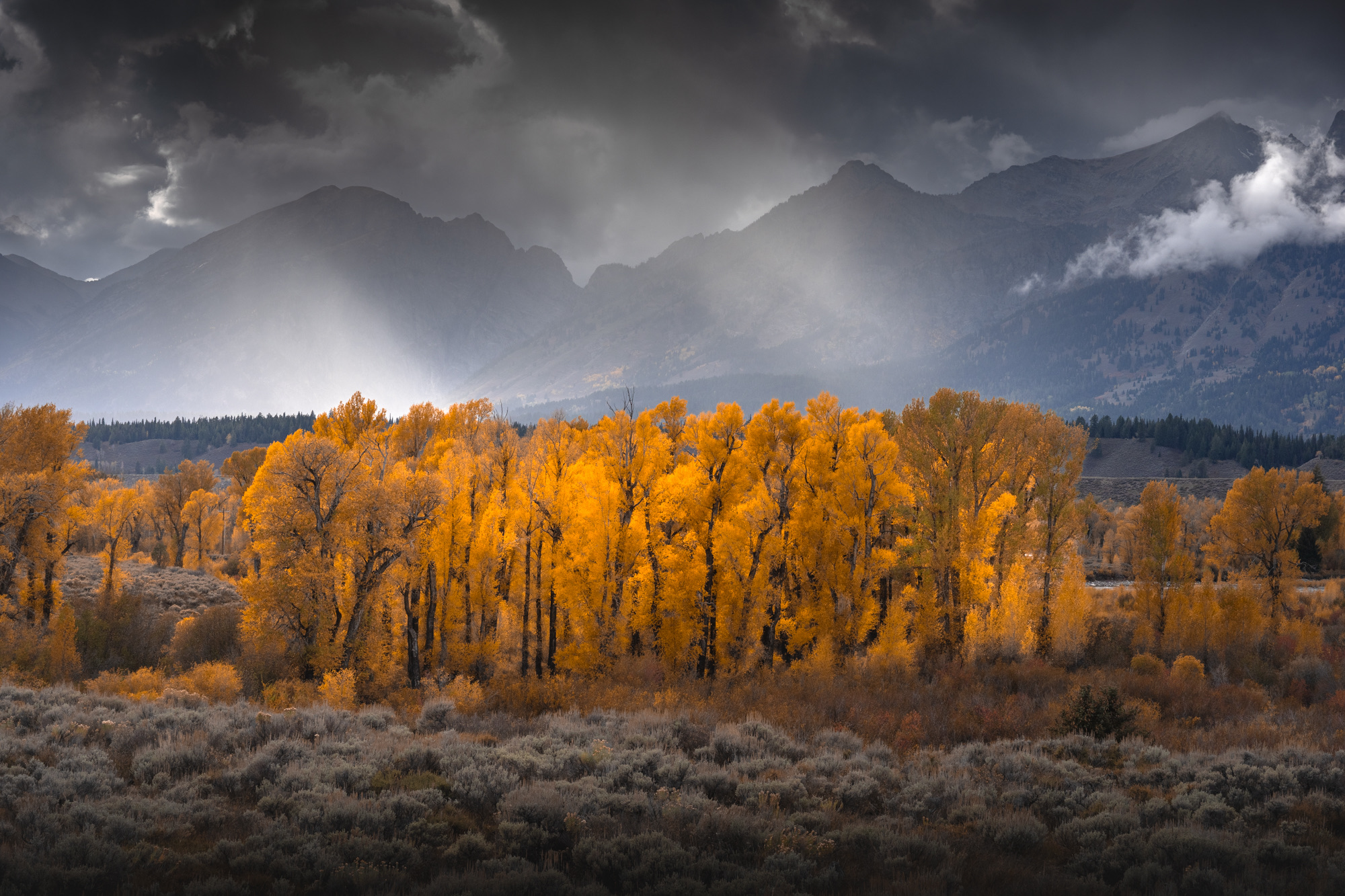 Grand Teton photo