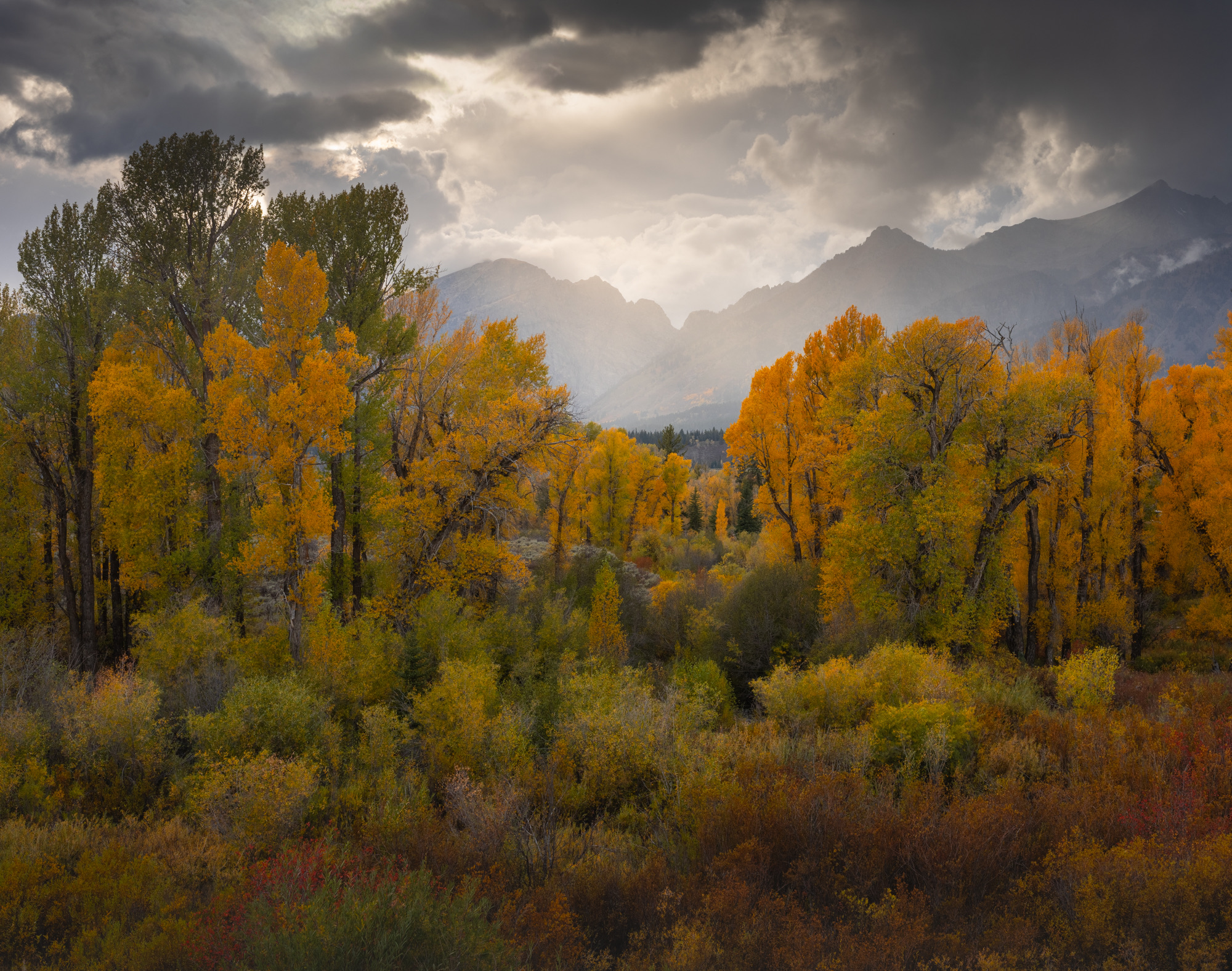 Grand Teton photo