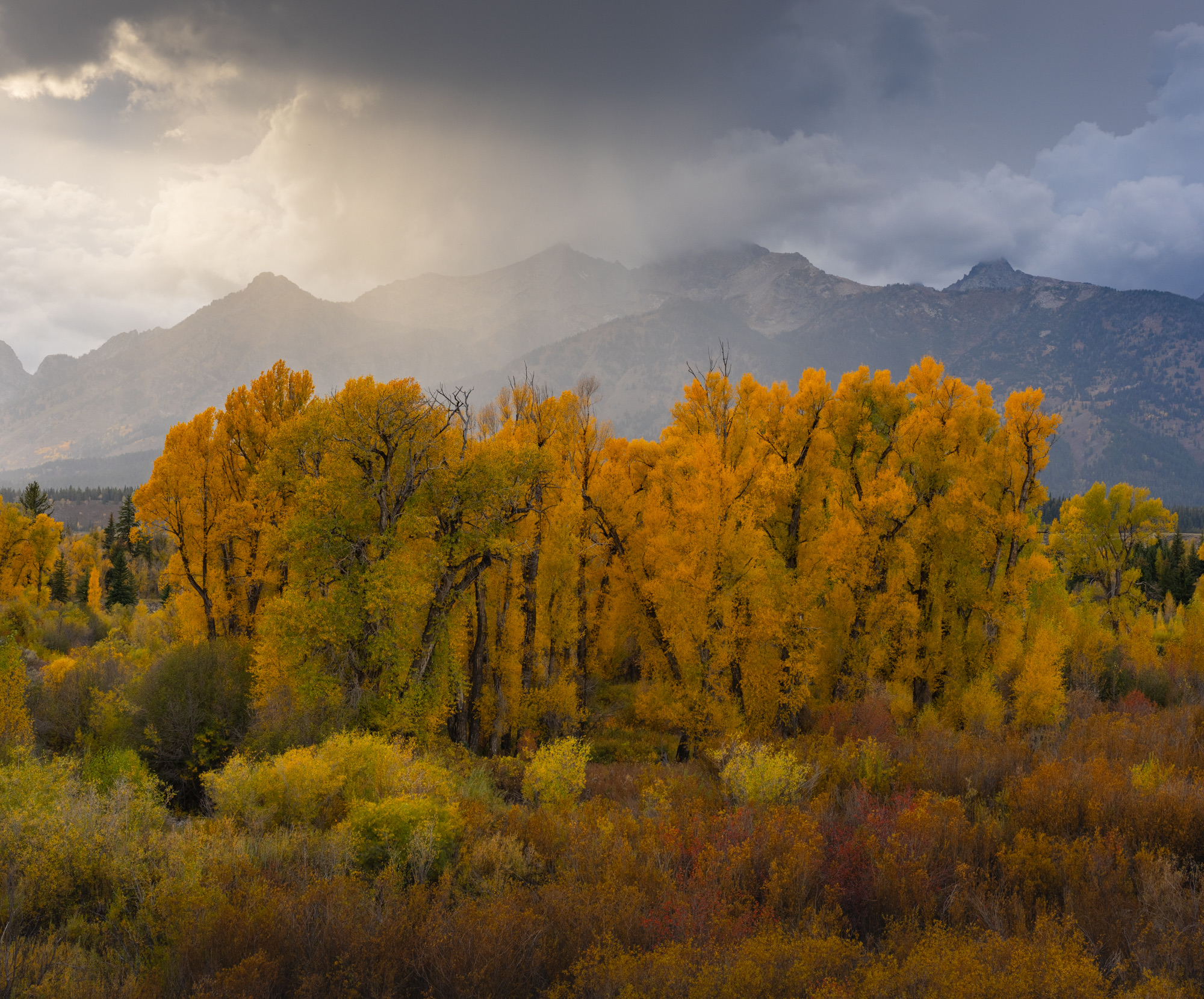 Grand Teton photo