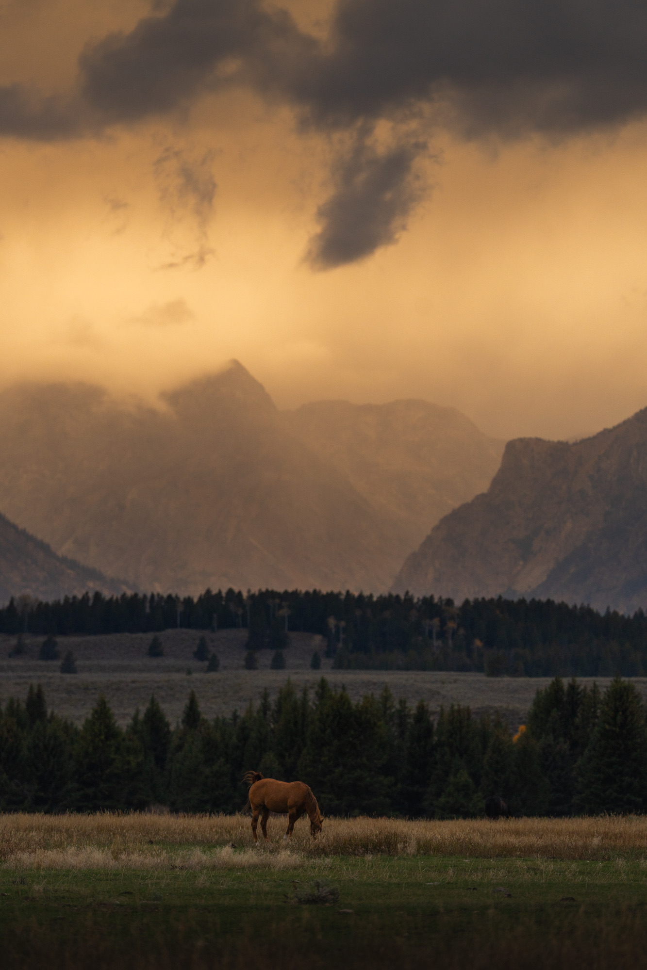Grand Teton photo