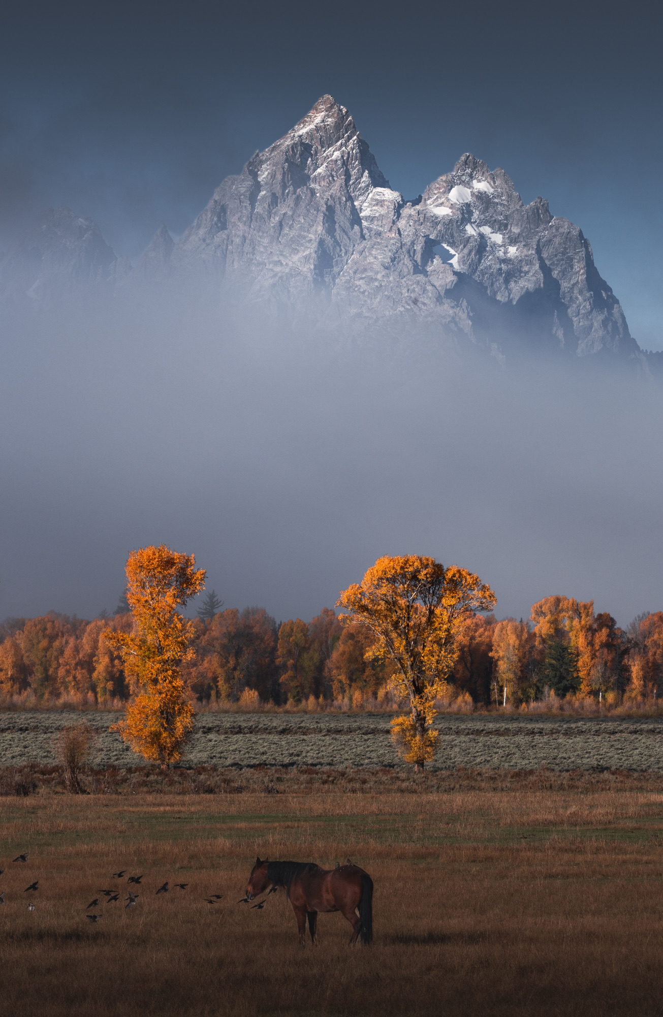 Grand Teton photo