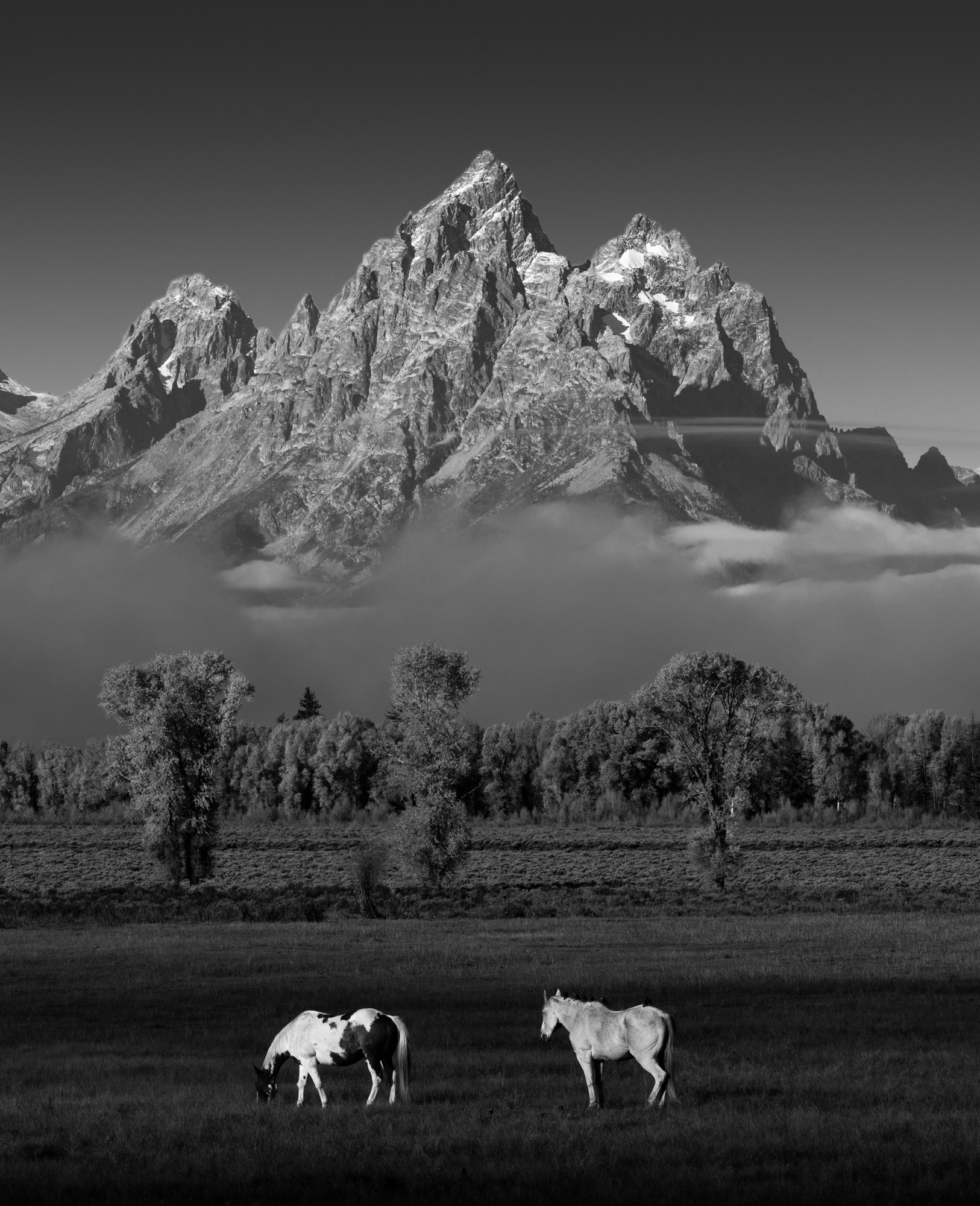 Grand Teton photo