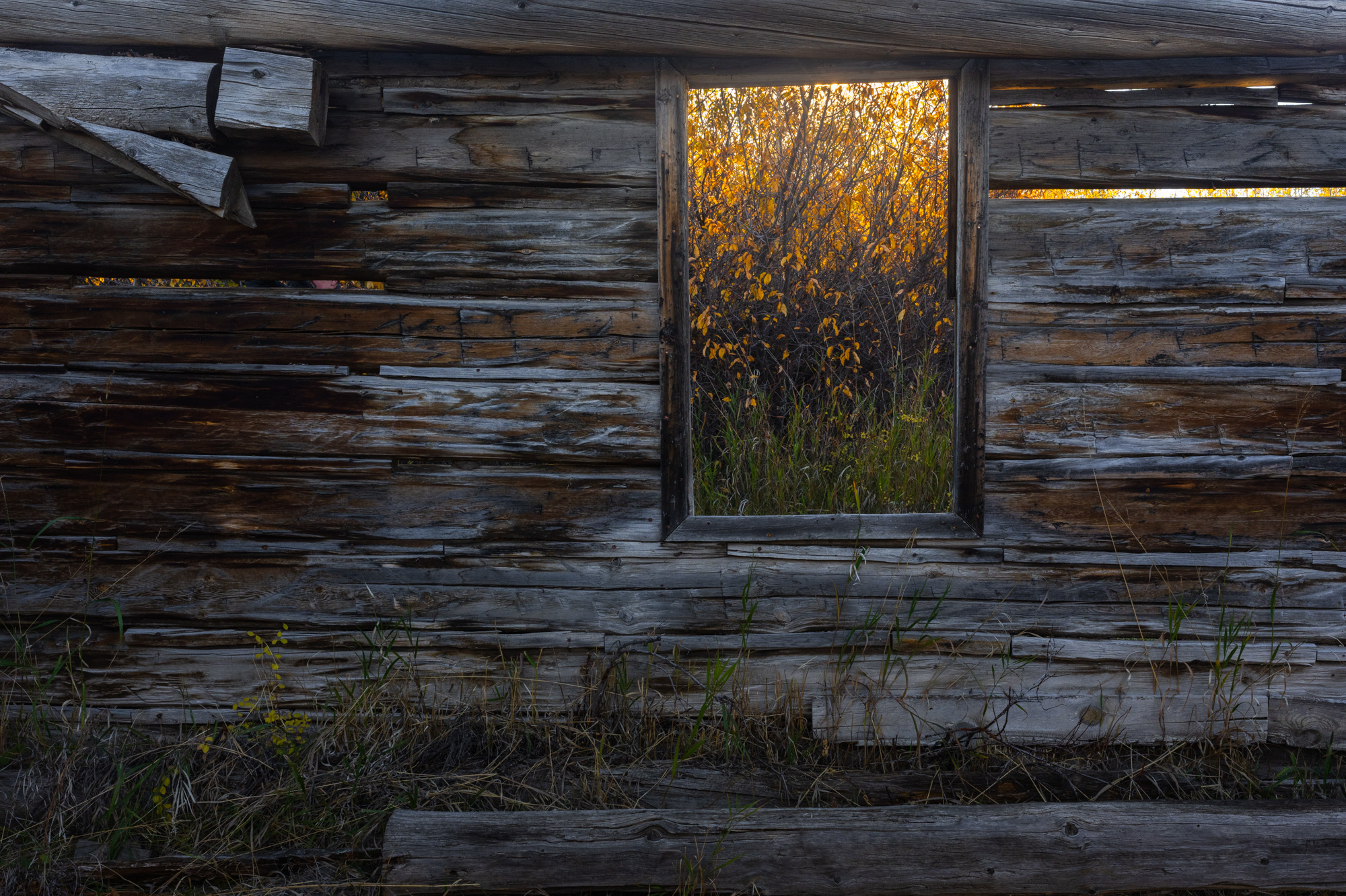 Grand Teton photo