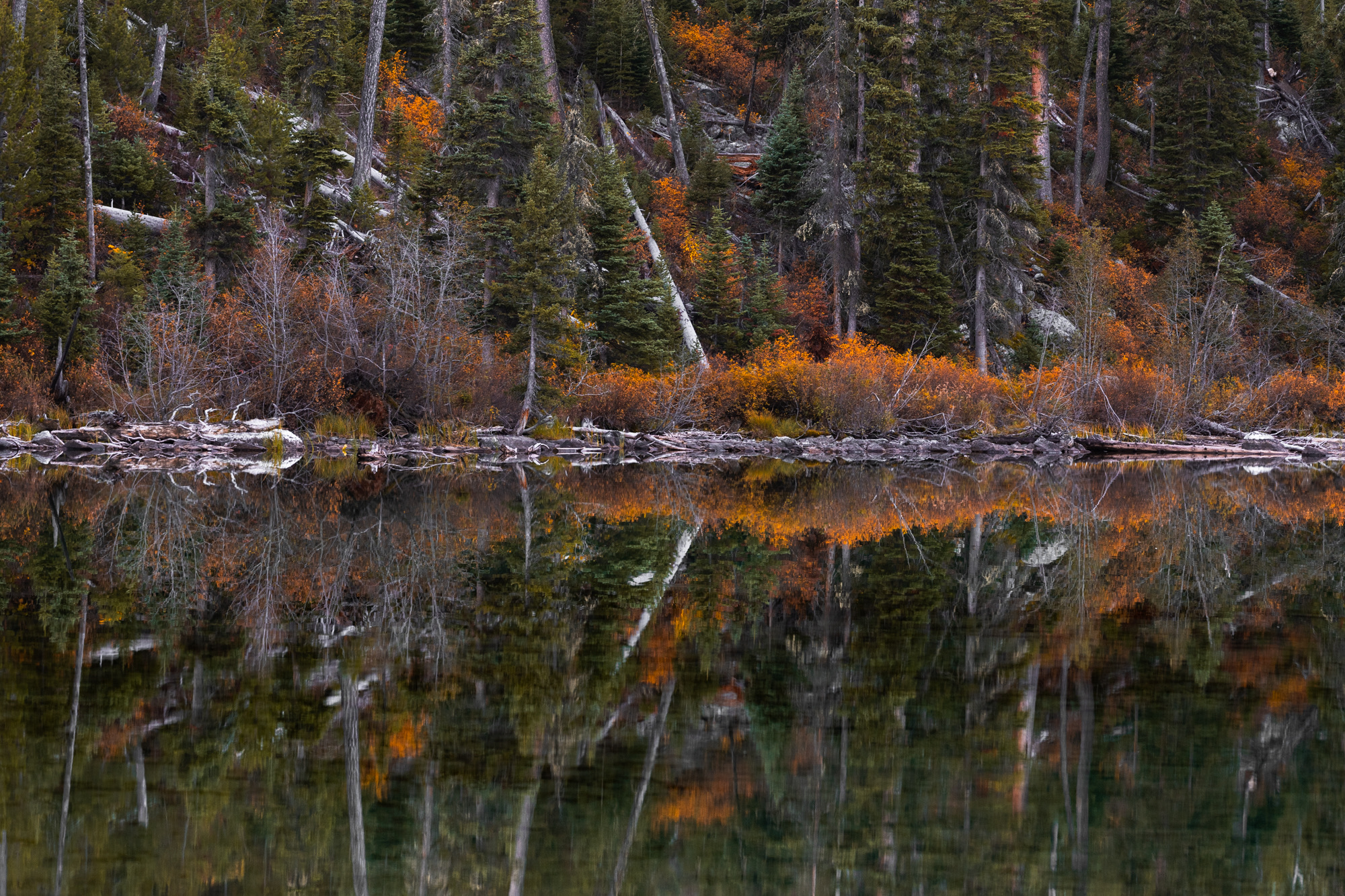 Grand Teton photo